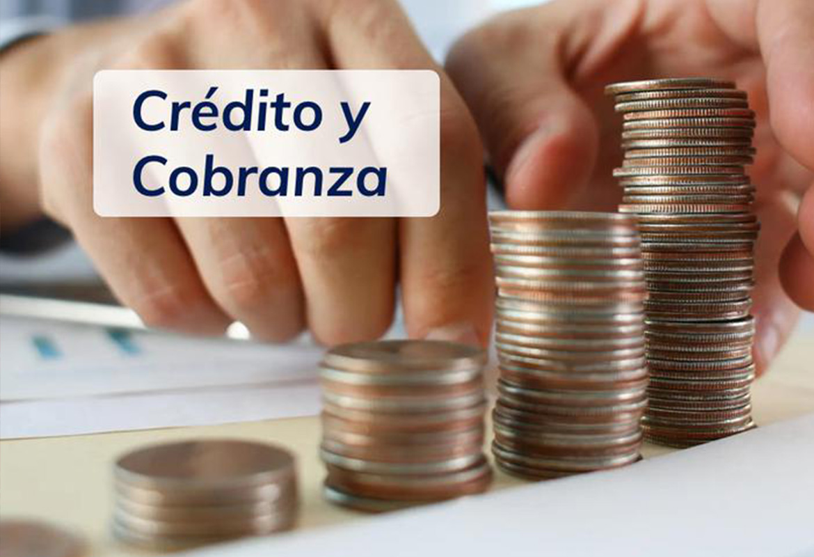 Sistema ERP Prestamos y Cobranzas